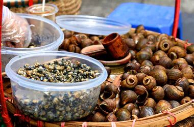 Where flavor meets culture after dark